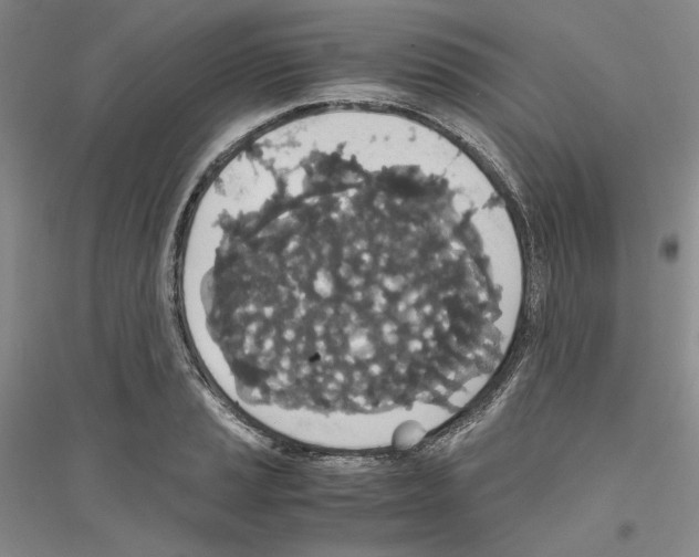 X0000116861037201002021102