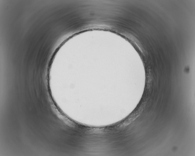 X0000116861038201002021102