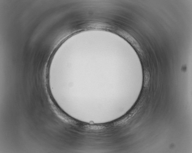 X0000116861039201002021102