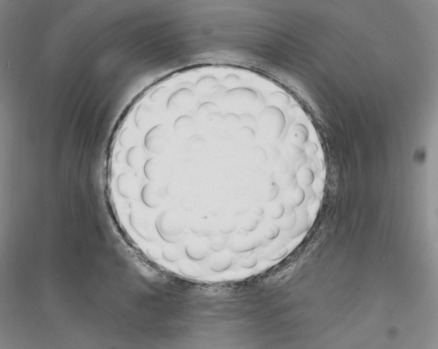 X0000116861040201002021102