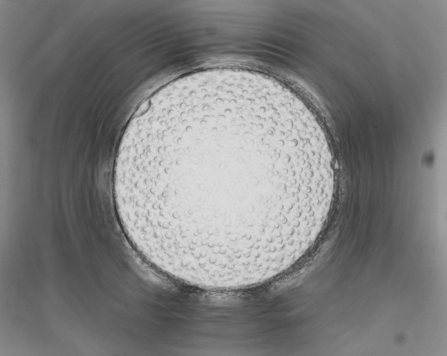 X0000116861041201002021102