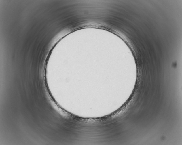 X0000116861042201002021102