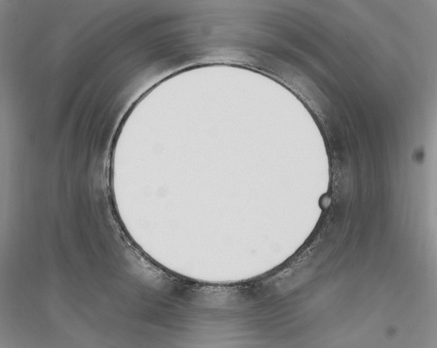 X0000116861044201002021102