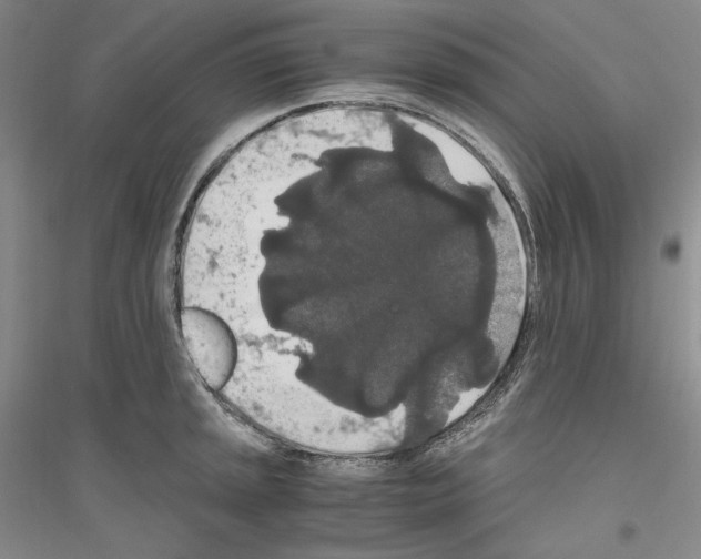 X0000116861045201002021102