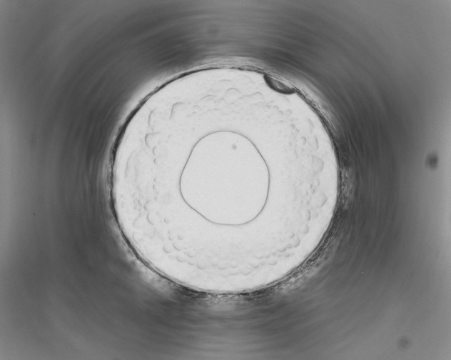 X0000116861046201002021102