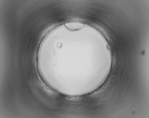 X0000116861047201002021102