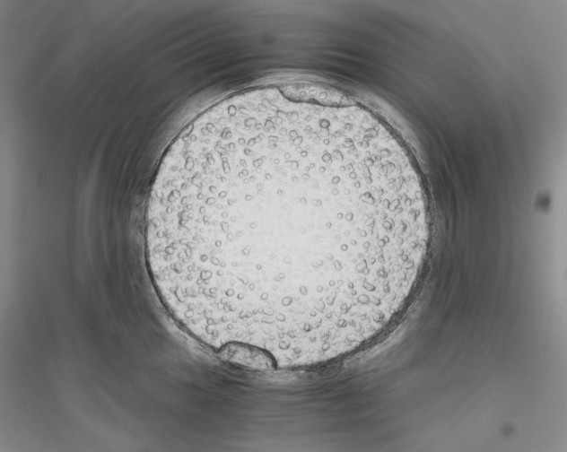 X0000116861049201002021102