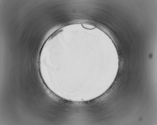 X0000116861050201002021102