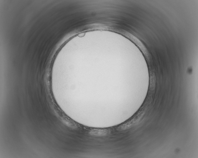 X0000116861051201002021102