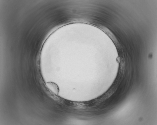 X0000116861052201002021102