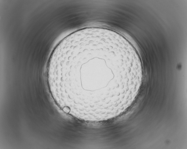 X0000116861053201002021102