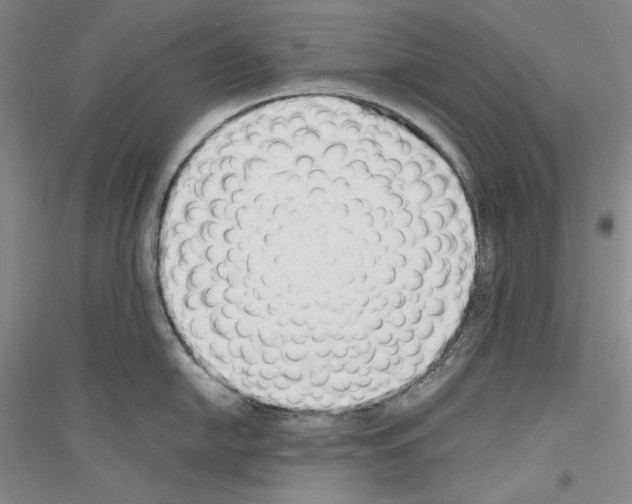 X0000116861054201002021102