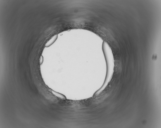 X0000116861057201002021101