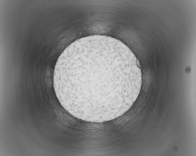 X0000116861058201002021101