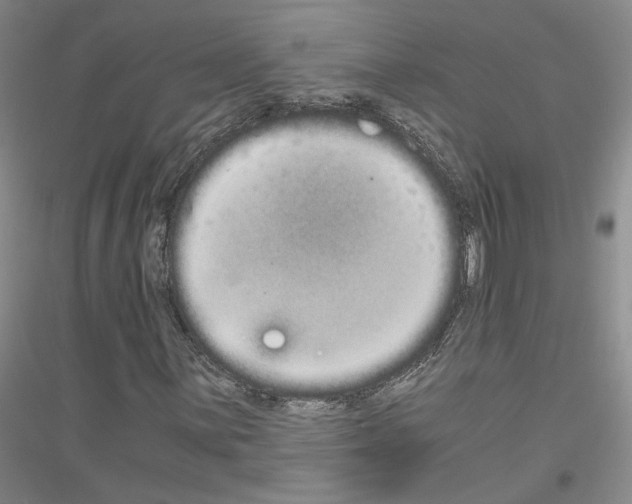 X0000116861059201002021101