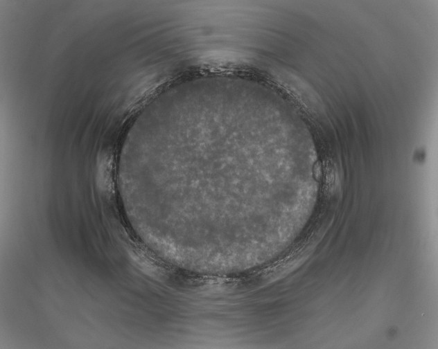 X0000116861060201002021101