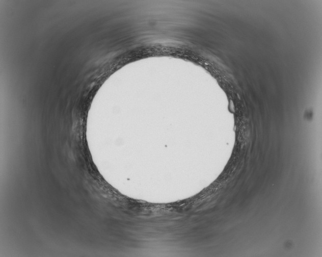 X0000116861061201002021101