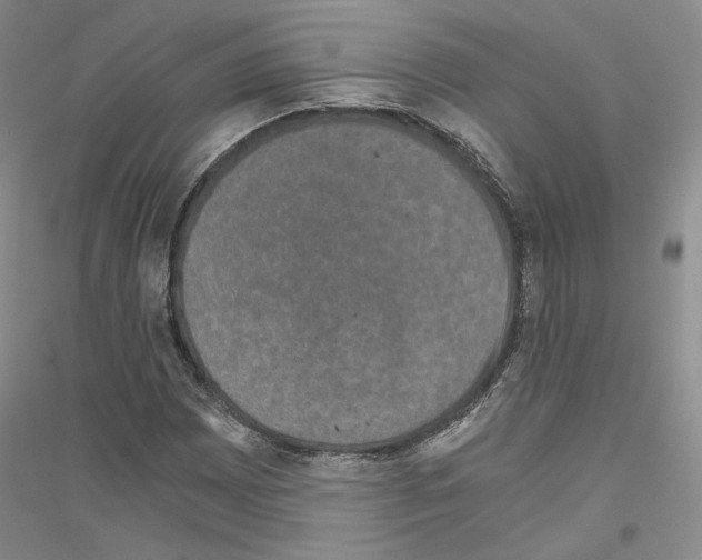 X0000116861065201002021101