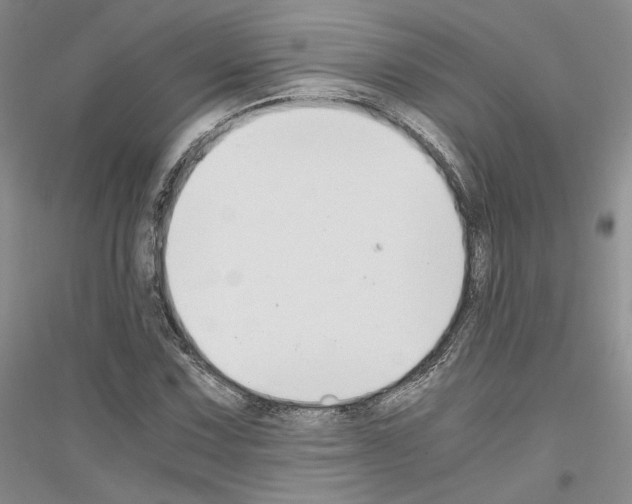 X0000116861067201002021101