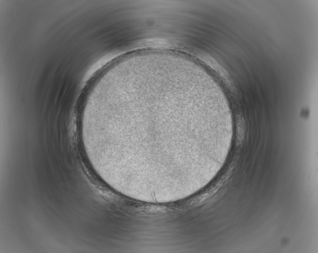 X0000116861070201002021101