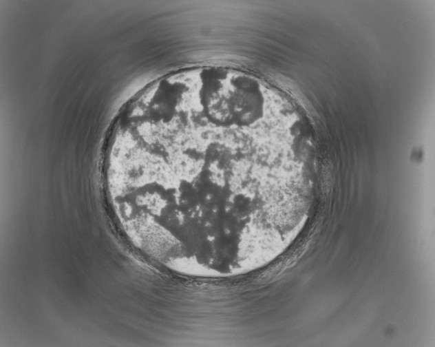 X0000116861071201002021101