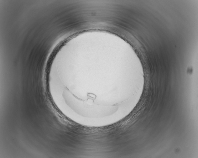 X0000116861072201002021101