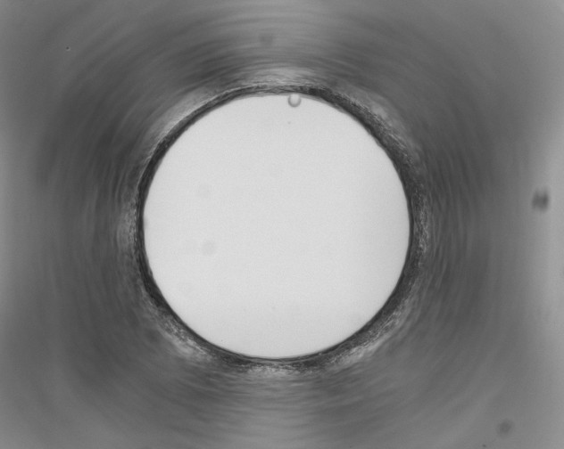 X0000116861073201002021101