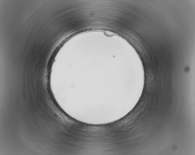 X0000116861076201002021101