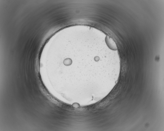 X0000116861080201002021101