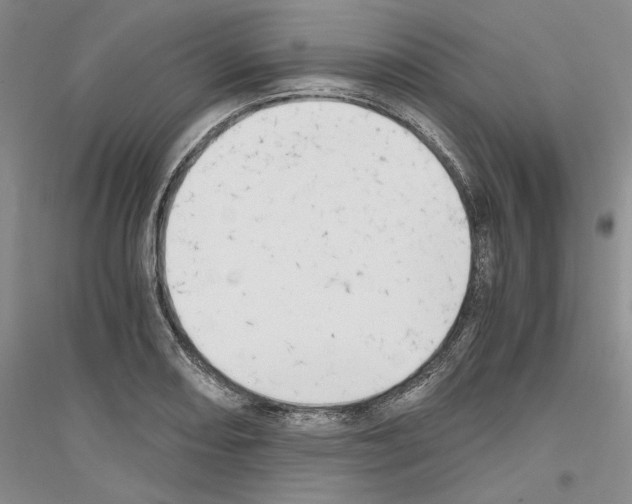 X0000116861082201002021101