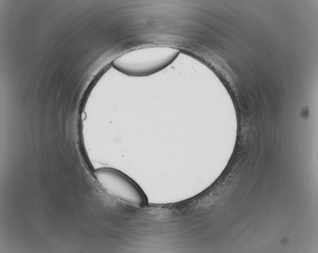 X0000116861085201002021101