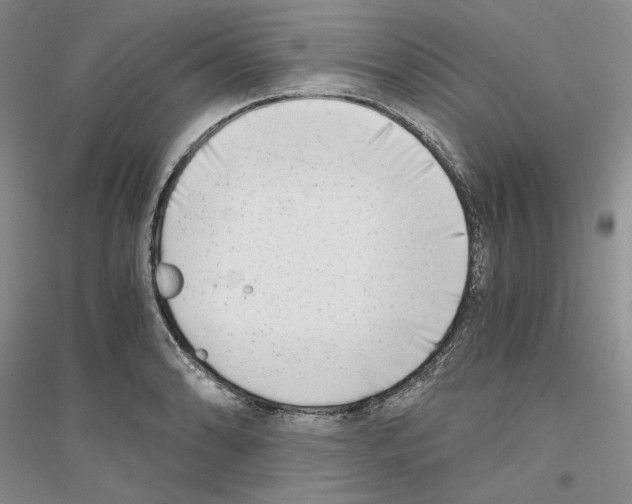 X0000116861086201002021101