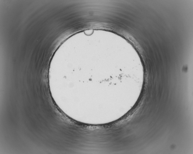 X0000116861089201002021101