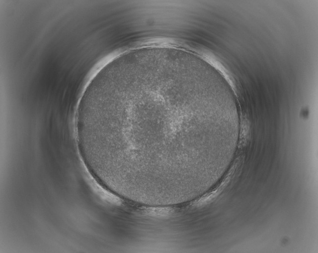 X0000116861090201002021101