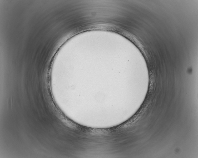 X0000116861091201002021101