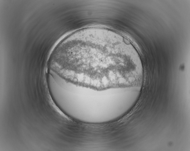 X0000116861092201002021101