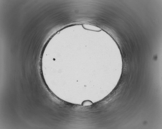 X0000116861093201002021101