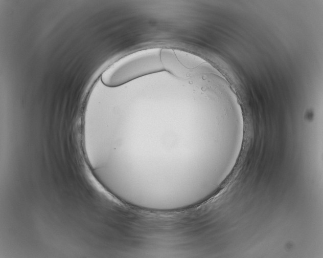 X0000116861100201002021101