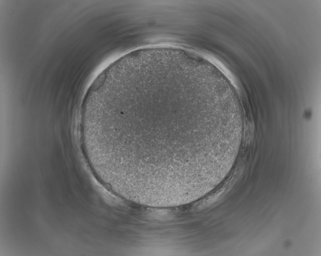 X0000116861101201002021101