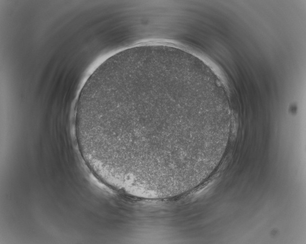 X0000116861102201002021101