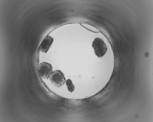 X0000116861103201002021101