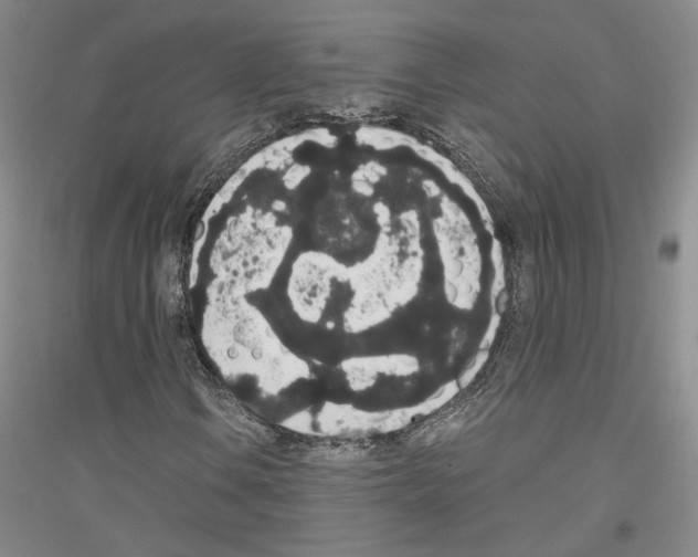 X0000116861106201002021100