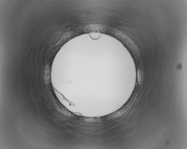 X0000116861107201002021100