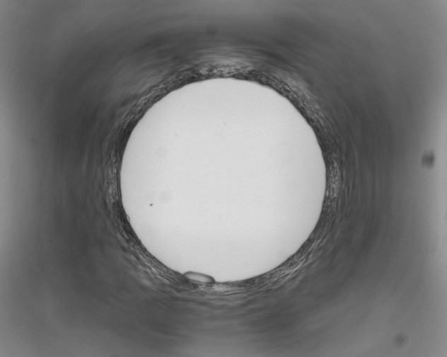 X0000116861109201002021100