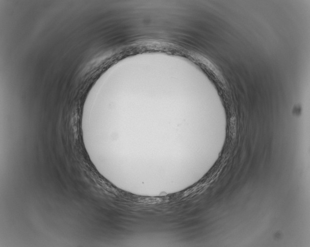 X0000116861111201002021100