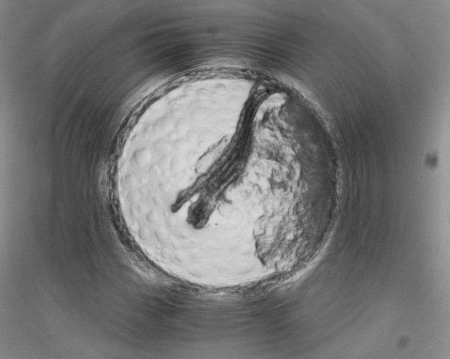 X0000116861113201002021100