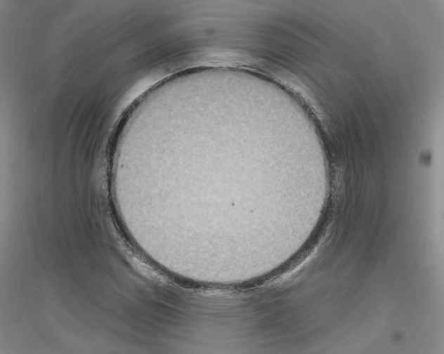 X0000116861114201002021100