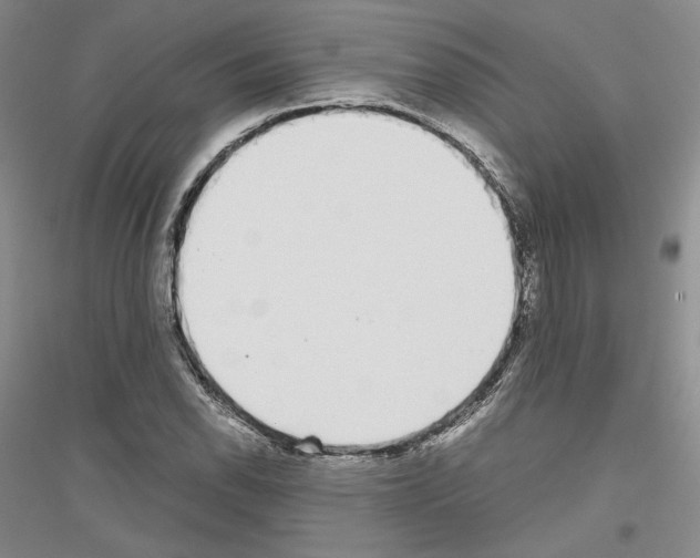 X0000116861118201002021100