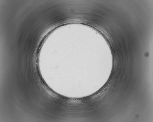 X0000116861119201002021100