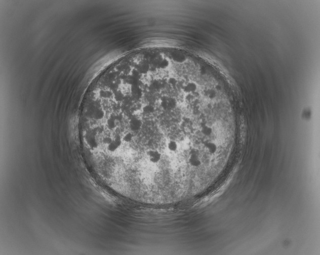 X0000116861121201002021100